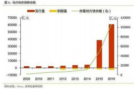 昌宁为什么选择专业追讨公司来处理您的债务纠纷？